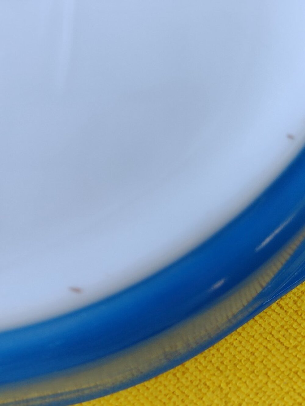 1961 Pyrex Royal Blue 1.5 Qt Divided Promo Casserole Dish w/ Medallion Lid - Picture 12 of 16